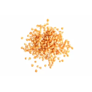 Maïs pour machine à Pop-Corn
