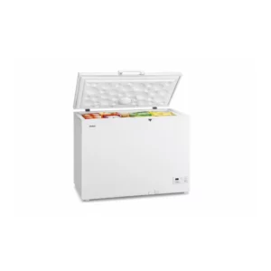 Congélateur bahut 250L